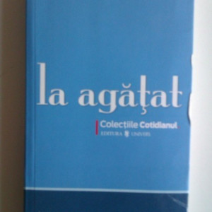 Nadine Gordimer - La agatat