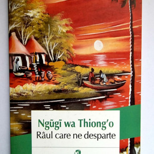 Ngugi wa Thiong`o - Raul care ne desparte