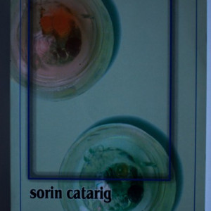 Sorin Catarig - Unele consideratii asupra tehnicii salvarii aparentelor