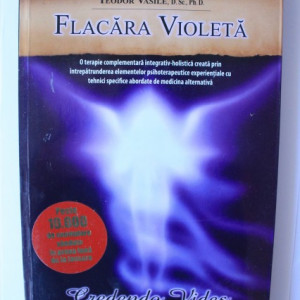 Teodor Vasile - Flacara violeta