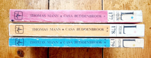 Thomas Mann - Casa Buddenbrook (3 vol.)