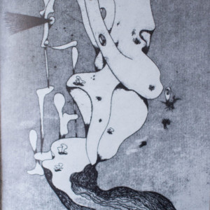 Tristan Tzara - Les premiers poemes, suivis de 5 poemes oublies