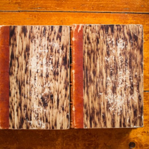 Alfred Tennyson - The Poetical Works of Alfred Tennyson (2 vol. colegate, editie hardcover, 1860)