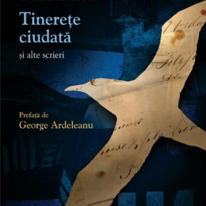 Dinu Pillat - Tinerete ciudata si alte scrieri