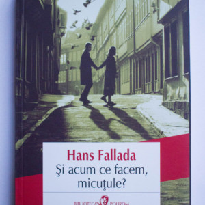 Hans Fallada - Si acum ce facem, micutule?