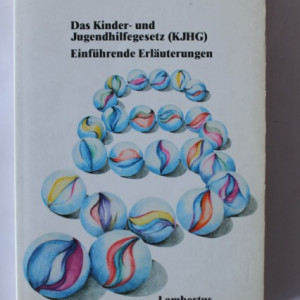 Hubertus Junge, Heiner B. Lendermann - Das Kinder-und Jungendhilfegesetz (KJHG)