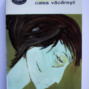 I. Peltz - Calea Vacaresti