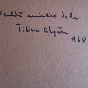 Ion Calugaru - Lumina primaverii (cu autograful sotiei, pictorul Titina Calugaru)