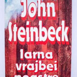 John Steinbeck - Iarna vrajbei noastre