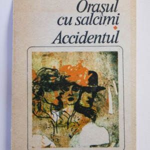 Mihail Sebastian - Orasul cu salcami. Accidentul