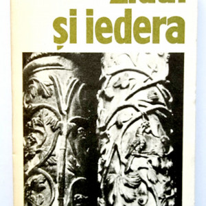 Mircea Malita - Zidul si iedera