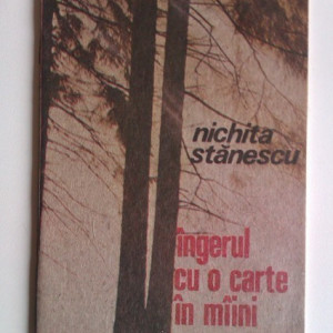 Nichita Stanescu - Ingerul cu o carte in maini