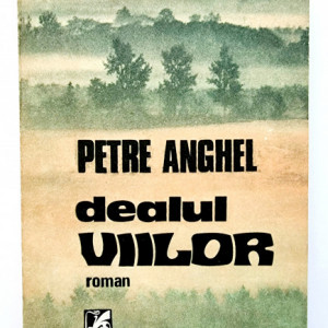 Petre Anghel - Dealul viilor