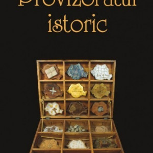Principele Radu al Romaniei - Provizoratul istoric