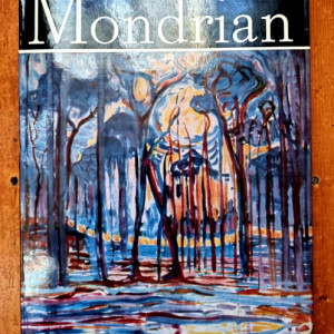 Victor Ieronim Stoichita - Mondrian (editie hardcover)