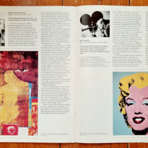 Artistul plastic la lucru in America (catalog de expozitie)