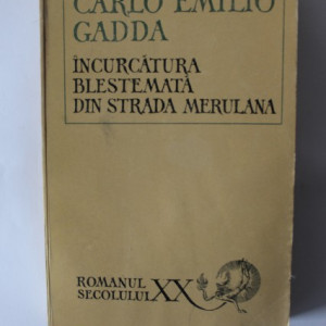 Carlo Emilio Gadda - Incurcatura blestemata din strada Merulana
