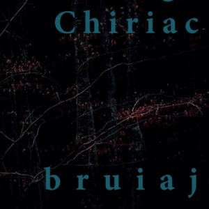 George Chiriac - bruiaj (cu autograf personalizat)