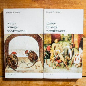 Gerhard W. Menzel - Pieter Bruegel nazdravanul (2 vol.)