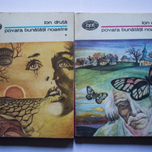 Ion Druta - Povara bunatatii noastre (2 vol.)
