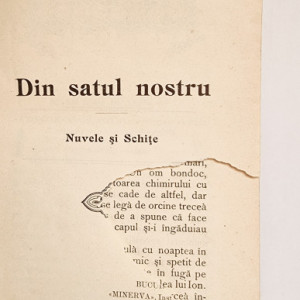 Ion Ionescu Boteni - Din satul nostru. Nuvele si Schite (editie hardcover, antebelica, frumos relegata)