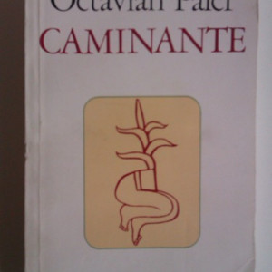 Octavian Paler - Caminante