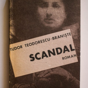 Tudor Teodorescu-Braniste - Scandal