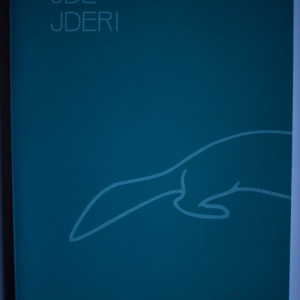 Colectiv autori - Jde Jderi (Antologia taberei de creatie a tinerilor scriitori, Savarsin, 2014)