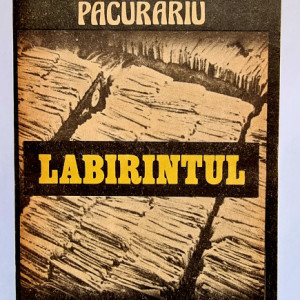 Francisc Pacurariu - Labirintul