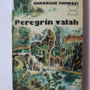 Gheorghe Tomozei - Peregrin valah