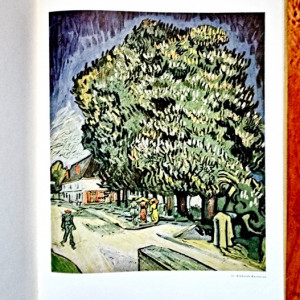 H. W. Grohn - Vincent van Gogh (editie hardcover, in limba germana)