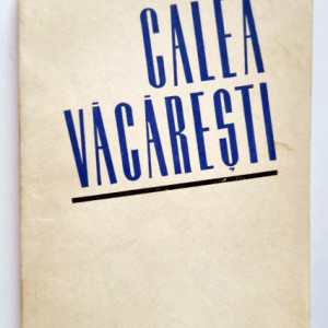 I. Peltz - Calea Vacaresti