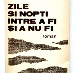 Ion Gh. Pana - Zile si nopti intre a fi si a nu fi
