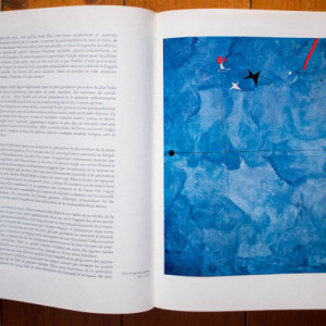 Jacques Dupin - Joan Miro (editie hardcover)