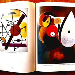 Jacques Dupin - Miro (editie hardcover)