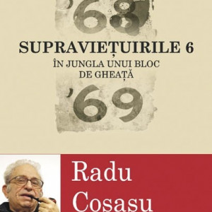 Radu Cosasu - Supravietuirile 6. In jungla unui bloc de gheata