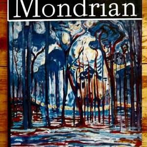 Victor Ieronim Stoichita - Mondrian (editie hardcover)
