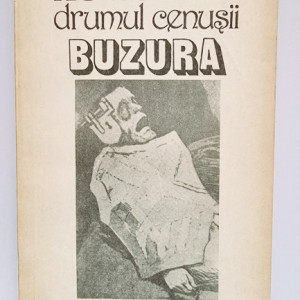 Augustin Buzura - Drumul cenusii