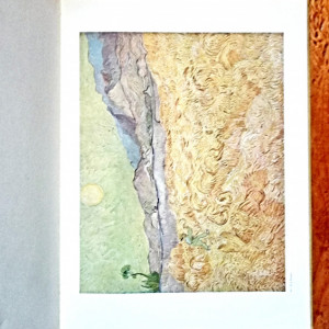H. W. Grohn - Vincent van Gogh (editie hardcover, in limba germana)