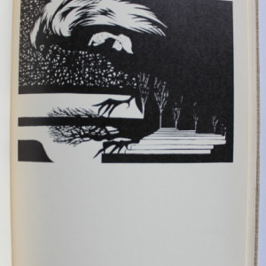 Marin Sorescu - Don Quijote`s tender years (editie hardcover in limba engleza, exemplarul 8 din 75, cu autograful autorului - Marin Sorescu si al ilustratorului - Florin Puca)