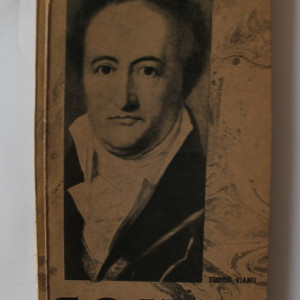 Tudor Vianu - Goethe