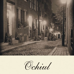 Vladimir Nabokov - Ochiul (editie hardcover)