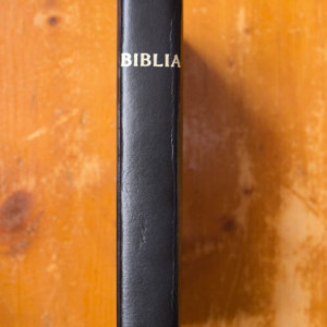 Biblia sau Sfanta Scriptura a Vechiului si Noului Testament (cu trimiteri) (editie hardcover)