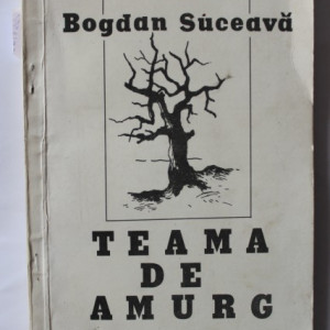 Bogdan Suceava - Teama de amurg (volum de debut)