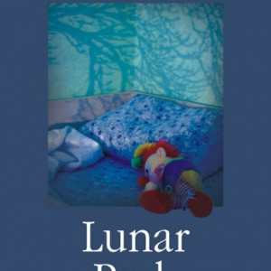 Bret Easton Ellis - Lunar Park