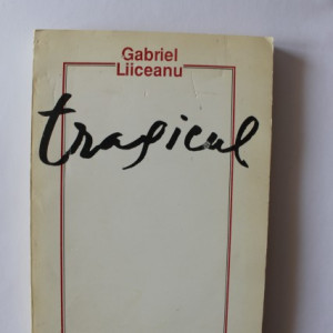 Gabriel Liiceanu - Tragicul