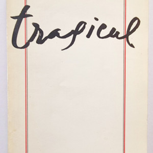Gabriel Liiceanu - Tragicul