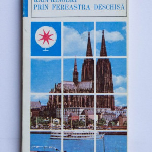 Henri Zalis - Rasfrangeri prin fereastra deschisa