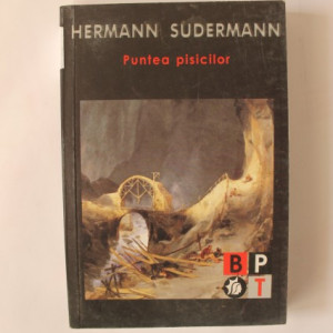 Hermann Sudermann - Puntea pisicilor