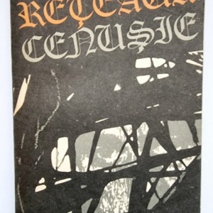 Ilie Mocanu - Reteaua cenusie